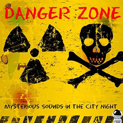 DANGER ZONE Mysterious Sounds in the City Night