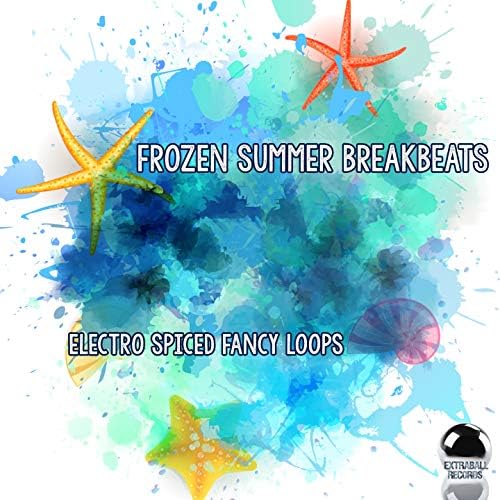 FROZEN SUMMER BREAKBEATS Electro Spiced Fancy Loops