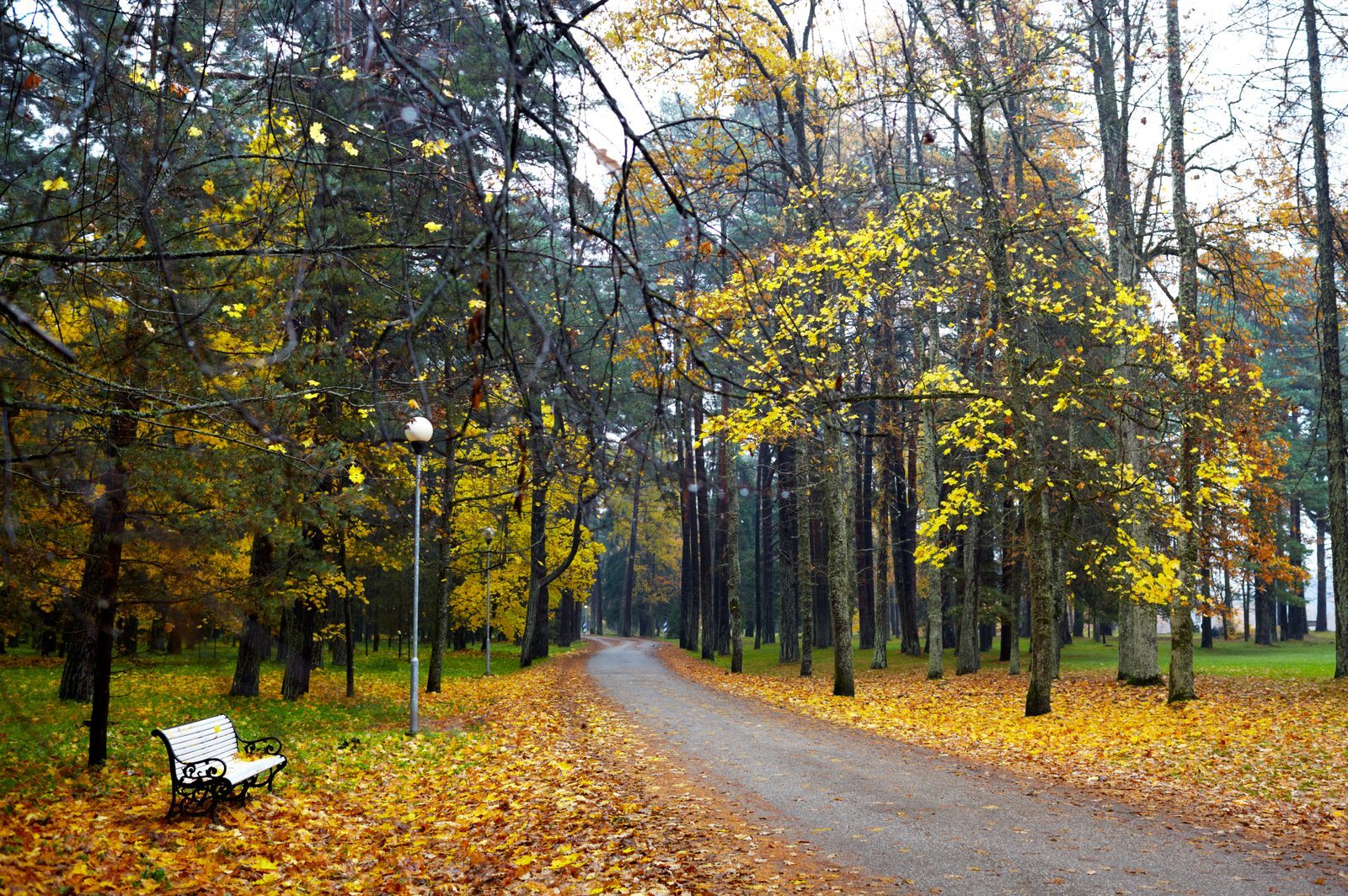 Winding path through a colourful autumn park