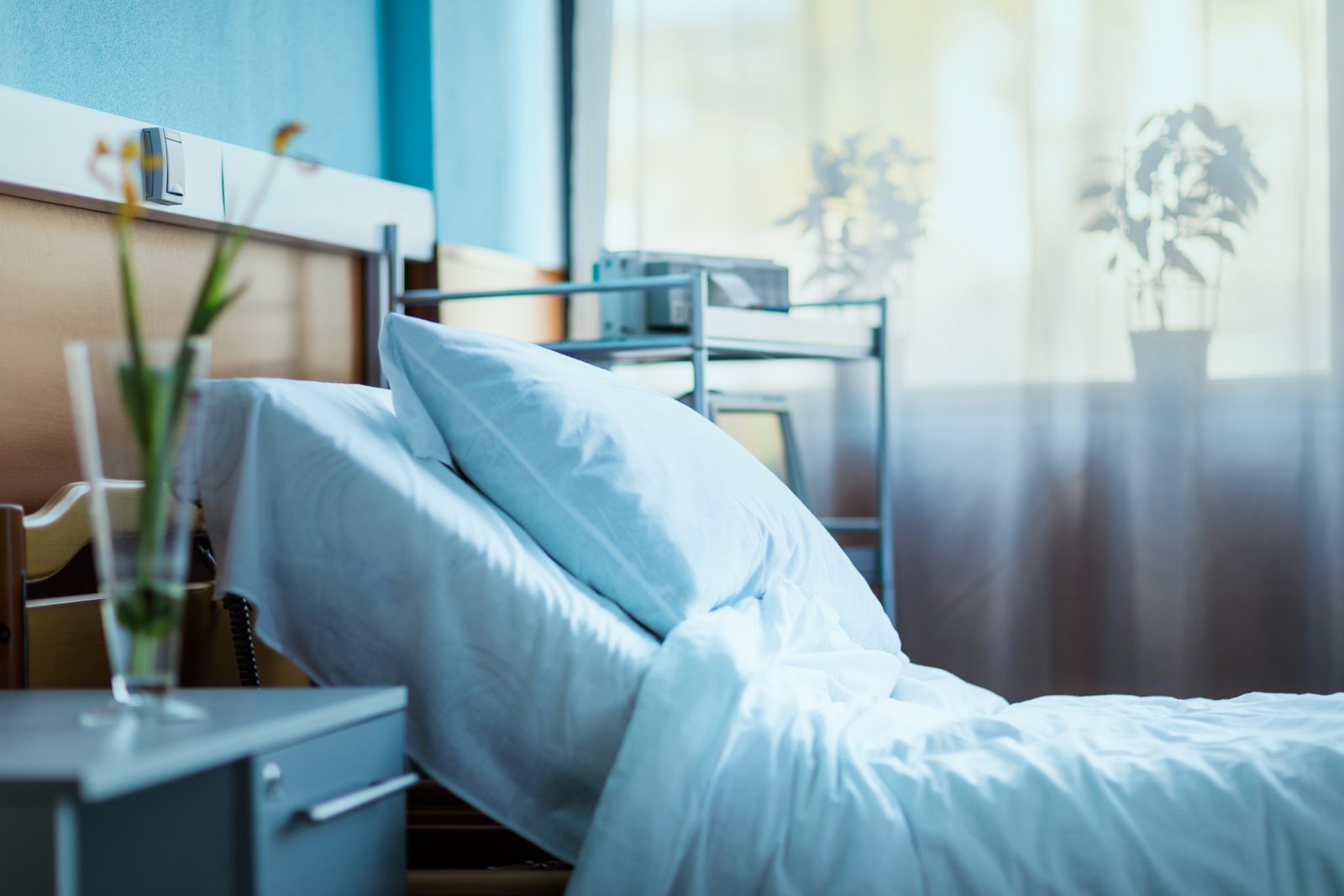 Hospital room with an adjustable bed and a flower by the window