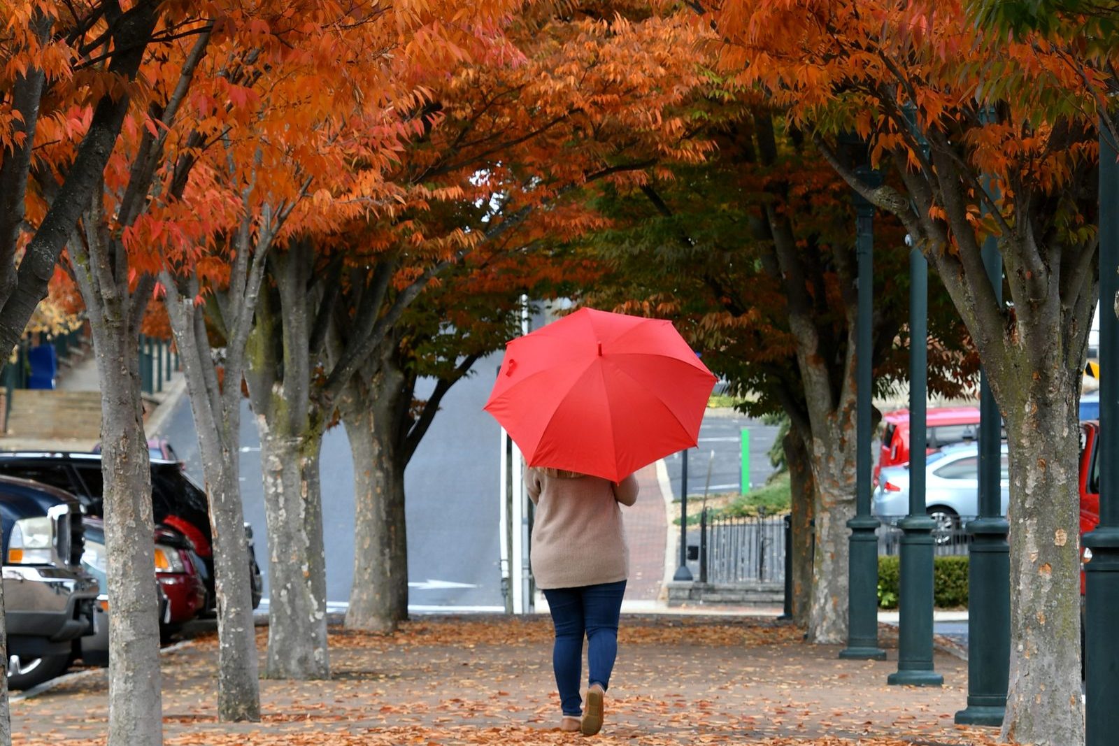 Woman walking with an umbrella under autumn trees